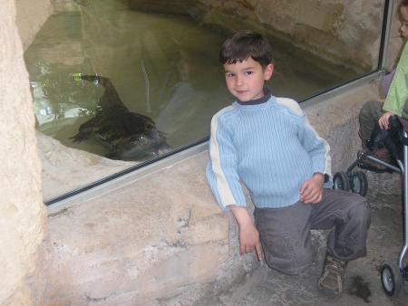 le croco guette sa proie