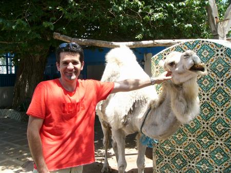 Au caf� saf saf  � la Marsa