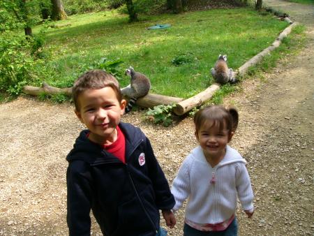 A la vall�e des singes