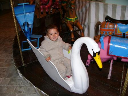 Il suffira d'un cygne ....