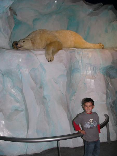 des restes de neige sur la plage de Kerfissien ...