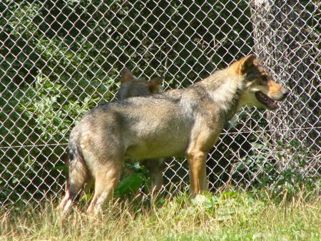 Pour garder notre propri�t� ......