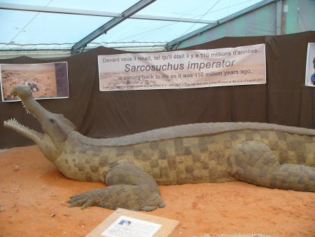 pourquoi faire renaitre le sarko ?????????????